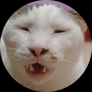 乐竞体育官网舒适、复杂、又耐造这些RM打破了“腕表不可能三角”(图17)